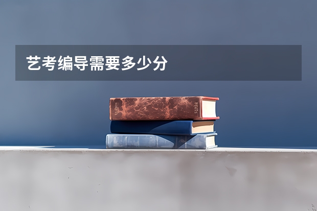 艺考编导需要多少分