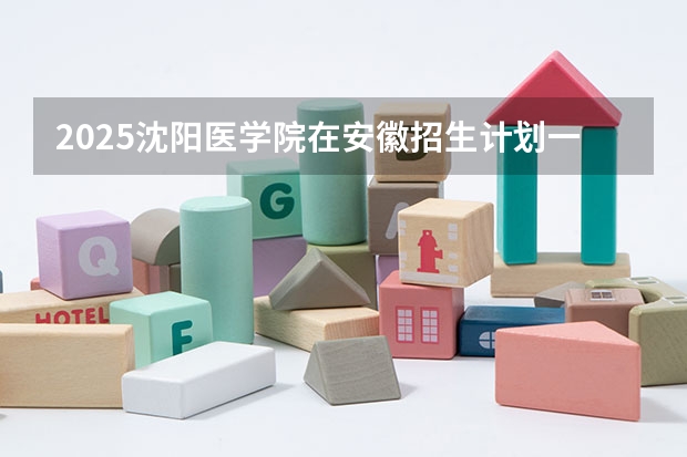 2025沈阳医学院在安徽招生计划一览表
