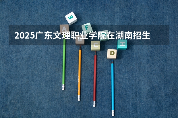 2025广东文理职业学院在湖南招生计划一览表