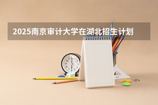 2025南京审计大学在湖北招生计划一览表