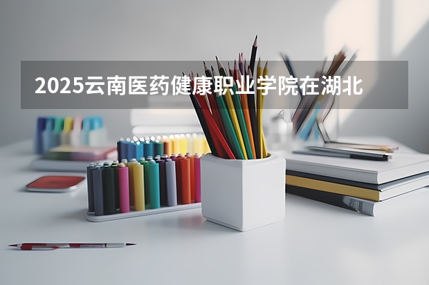 2025云南医药健康职业学院在湖北招生计划一览表