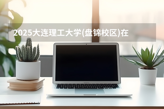 2025大连理工大学(盘锦校区)在天津招生计划一览表