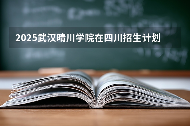 2025武汉晴川学院在四川招生计划一览表