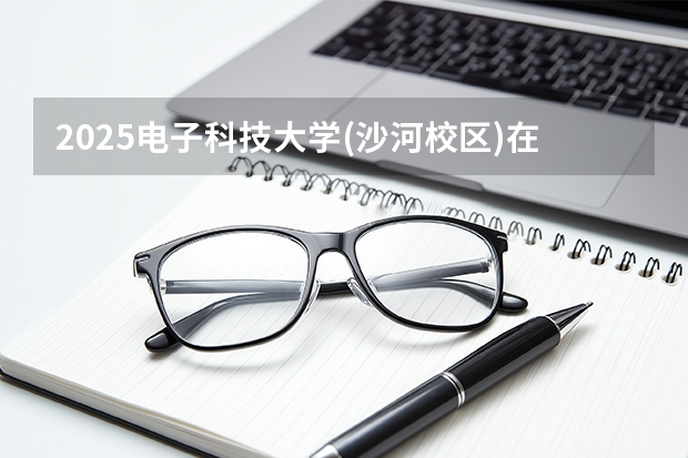 2025电子科技大学(沙河校区)在天津招生计划一览表