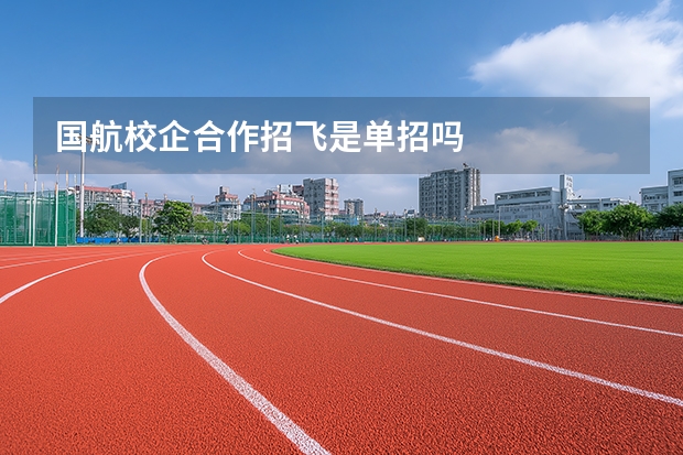 国航校企合作招飞是单招吗