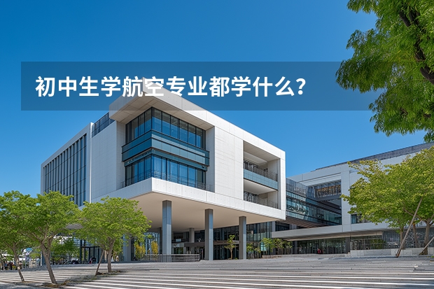 初中生学航空专业都学什么？