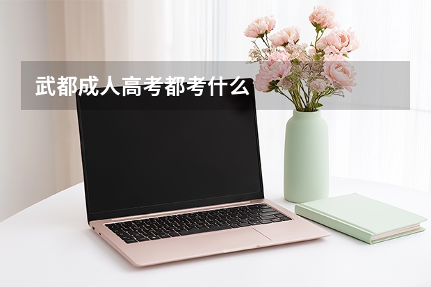 武都成人高考都考什么