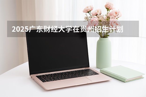 2025广东财经大学在贵州招生计划一览表