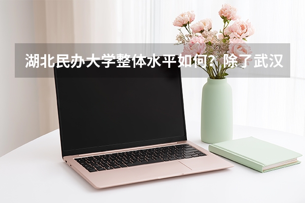 湖北民办大学整体水平如何？除了武汉还有好学校吗？