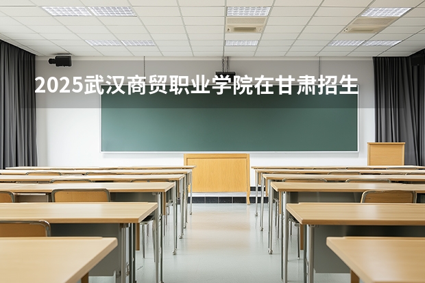 2025武汉商贸职业学院在甘肃招生计划一览表