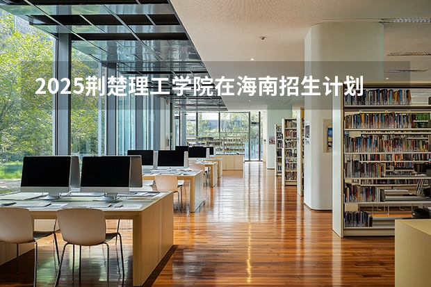 2025荆楚理工学院在海南招生计划一览表