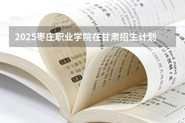 2025枣庄职业学院在甘肃招生计划一览表