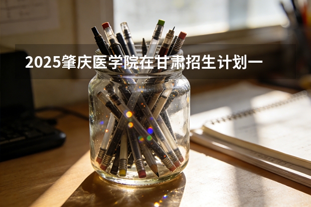 2025肇庆医学院在甘肃招生计划一览表