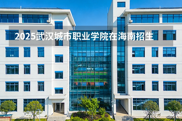 2025武汉城市职业学院在海南招生计划一览表