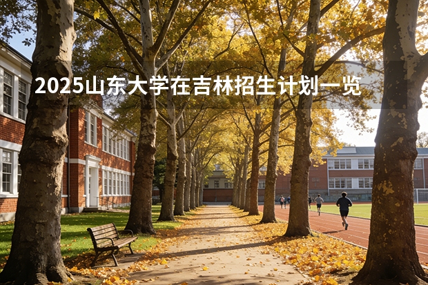 2025山东大学在吉林招生计划一览表
