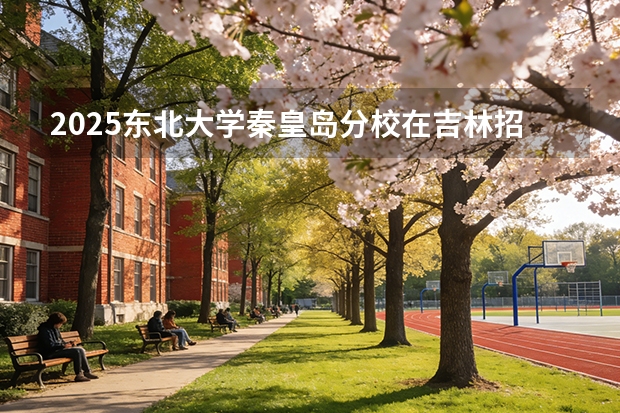 2025东北大学秦皇岛分校在吉林招生计划一览表