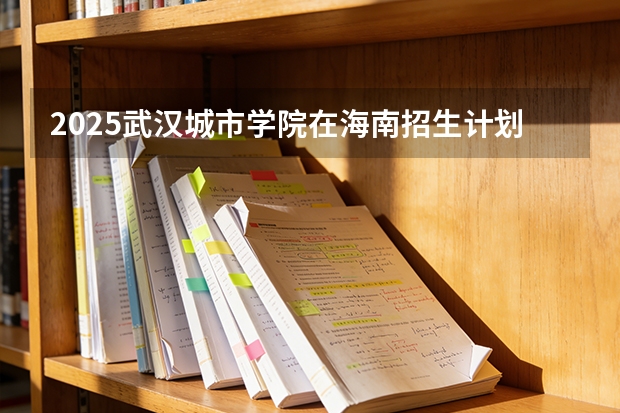 2025武汉城市学院在海南招生计划一览表