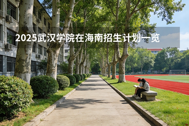 2025武汉学院在海南招生计划一览表