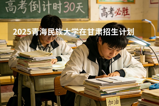 2025青海民族大学在甘肃招生计划一览表