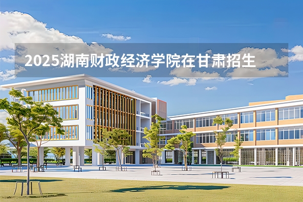 2025湖南财政经济学院在甘肃招生计划一览表