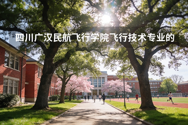 四川广汉民航飞行学院飞行技术专业的学费和分数线（民航招飞分数线）