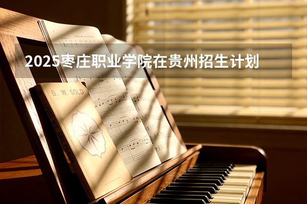 2025枣庄职业学院在贵州招生计划一览表