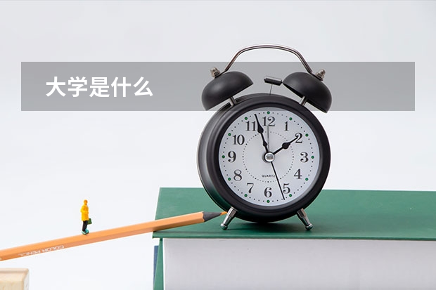   大学是什么