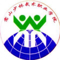 嵩山少林武术职业学院logo图片